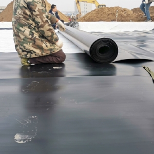 HDPE geomembrane